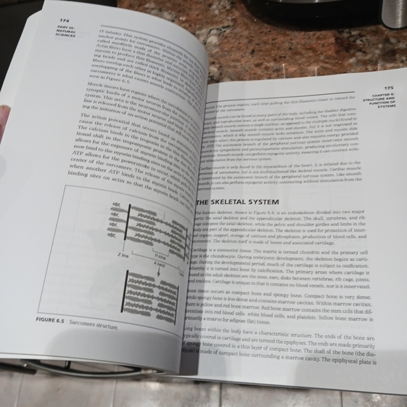 McGraw-Hill's DAT 3 Practice Tests. CD-ROM Not Included. - Picture 5 of 13